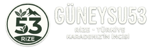 Güneysu53 | Güneysu Son Dakika ve Rize Güncel Haberleri