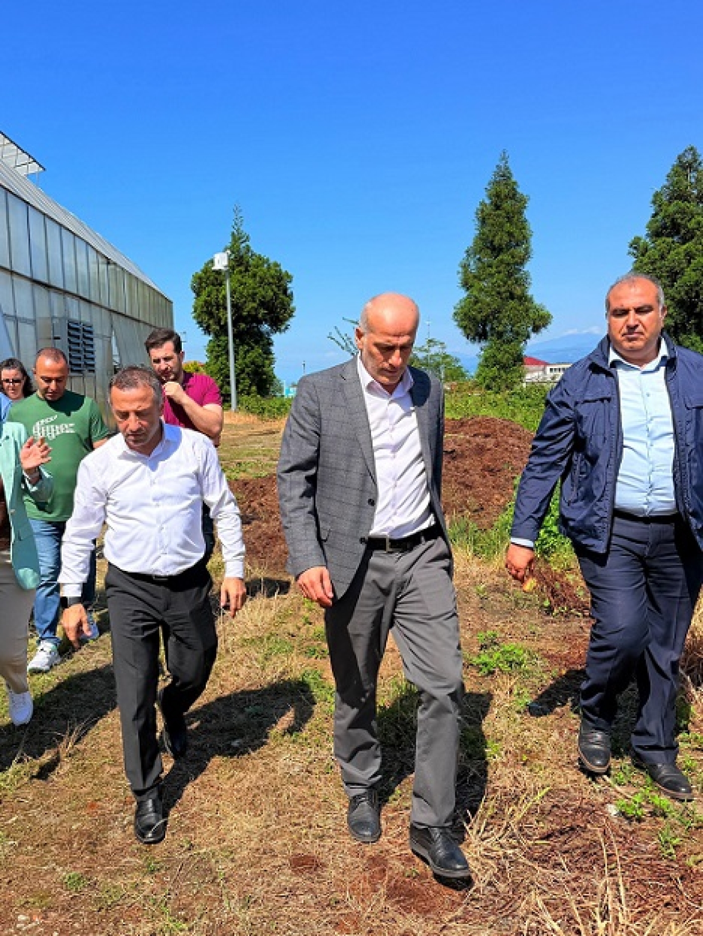 pazar-i6a209af79fe1f.jpg