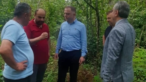 AMERİKAN BEYAZ KELEBEĞİ VE UZUN ANTENLİ TURUNÇGİL BÖCEĞİ İLE MÜCADELEDE ÖNEMLİ ADIM