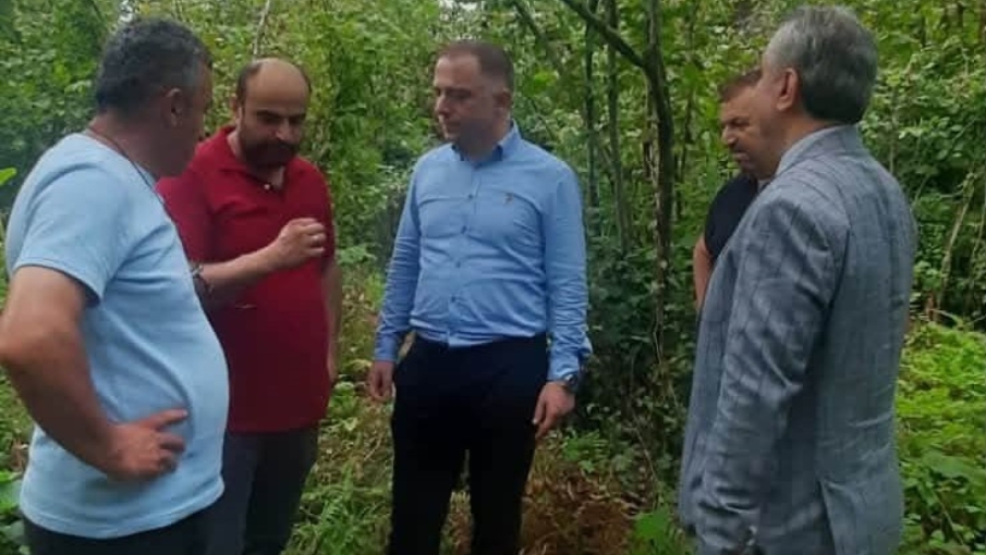 AMERİKAN BEYAZ KELEBEĞİ VE UZUN ANTENLİ TURUNÇGİL BÖCEĞİ İLE MÜCADELEDE ÖNEMLİ ADIM