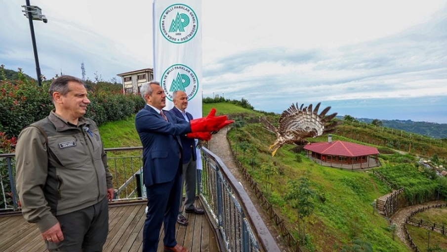 Rize Valisi Baydaş’ın Doğaya Saldığı Arı Şahininin Göç Yolculuğu Ürdün’e Ulaştı