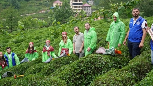 Gençlerle Gönüllü Çay Hasadı: Çayın Bahçeden Bardağa Yolculuğu