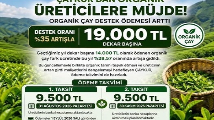 ÇAYKUR’dan Organik Çay Üreticilerine Destek Artışı