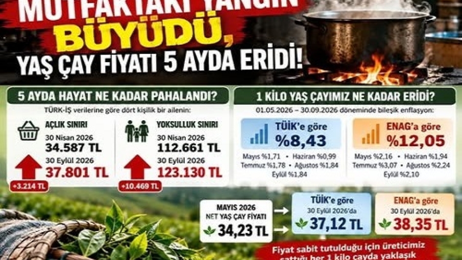 Fındıklı Çay Üreticileri Meclisi’nden Çağrı: “Yaş Çay Fiyatı 5 Ayda Eridi!”