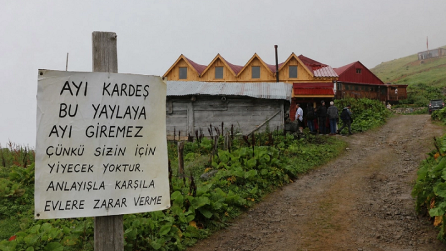 Çamlıhemşin’de Ayılara “Son Uyarı”: “Bu Yaylaya Ayı Giremez”