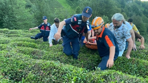 Çayeli Madenli’de Çaylık Alanda Kurtarma Operasyonu